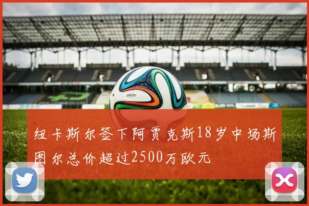 纽卡斯尔签下阿贾克斯18岁中场斯图尔总价超过2500万欧元