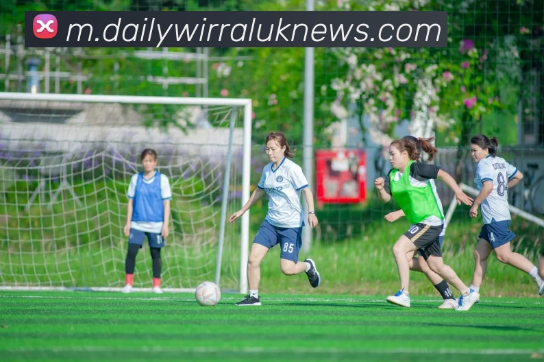 多终端兼容